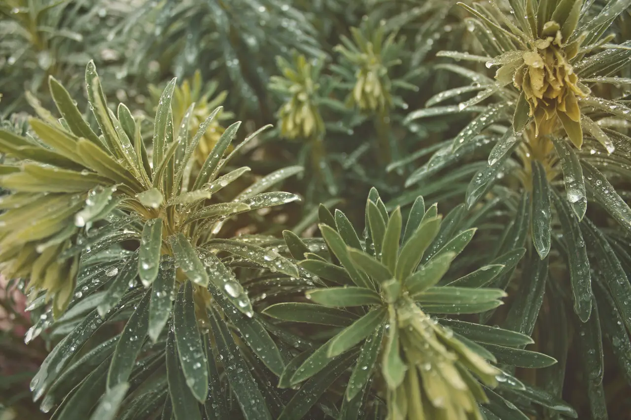 烟气分析仪与烟尘检测设备在工业废气监测中的应用解析